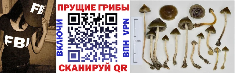 закладки  Октябрьск  Псилоцибиновые грибы Magic Shrooms 